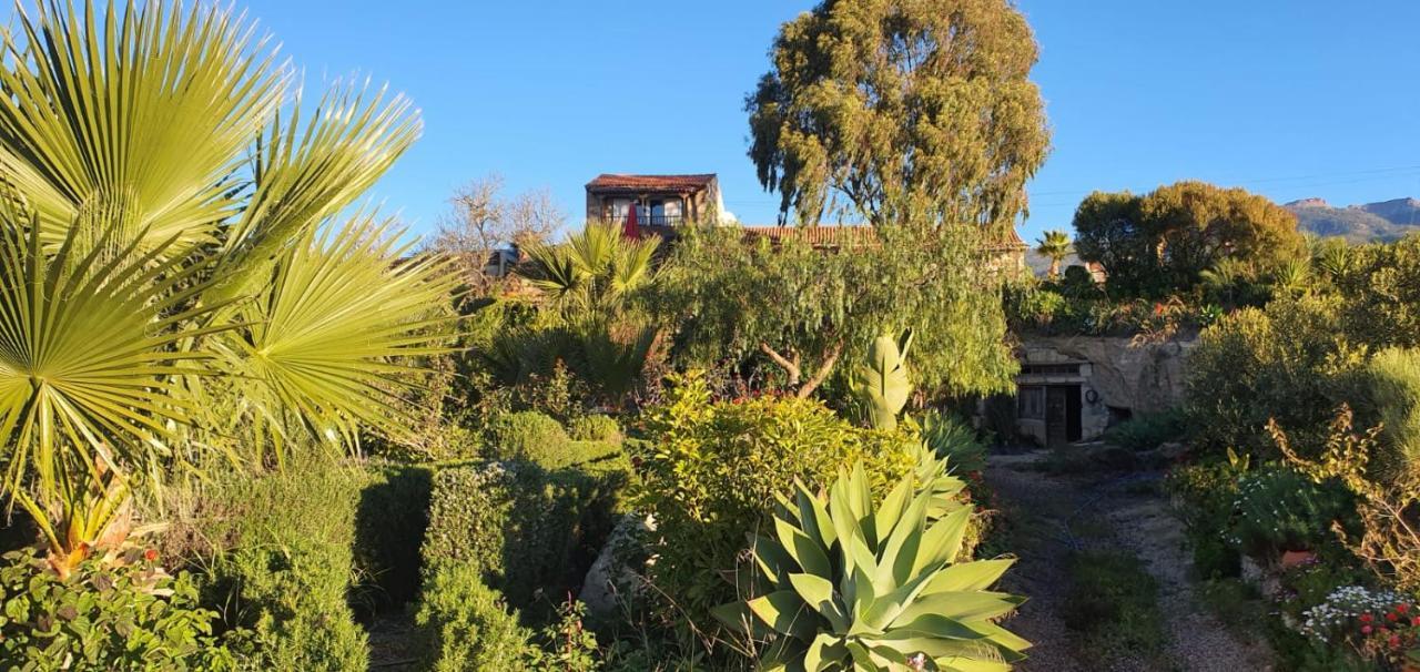 Tenerife Nature Retreat Ifonche Exteriör bild