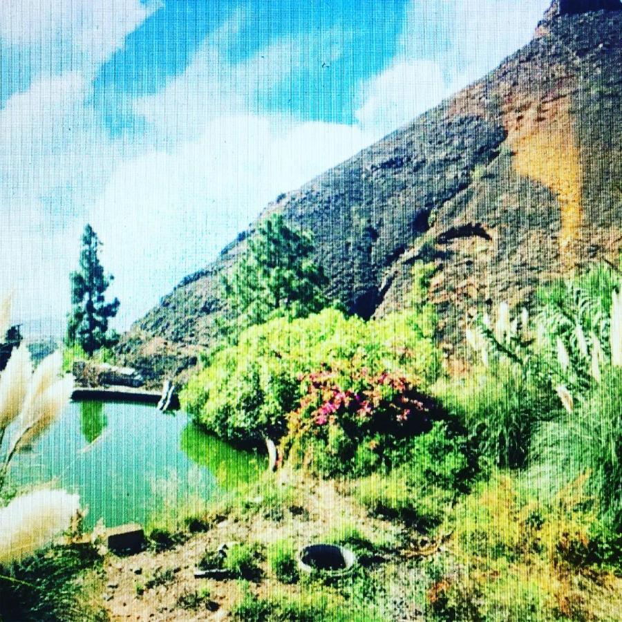 Tenerife Nature Retreat Ifonche Exteriör bild